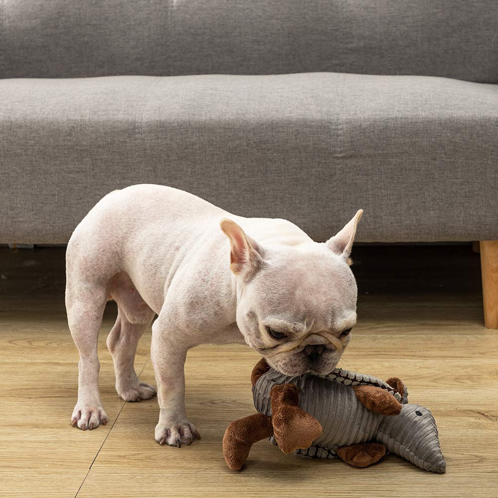 Hollypet Armadillo: apto para uso en interior y exterior durante sesiones de juego prolongadas.