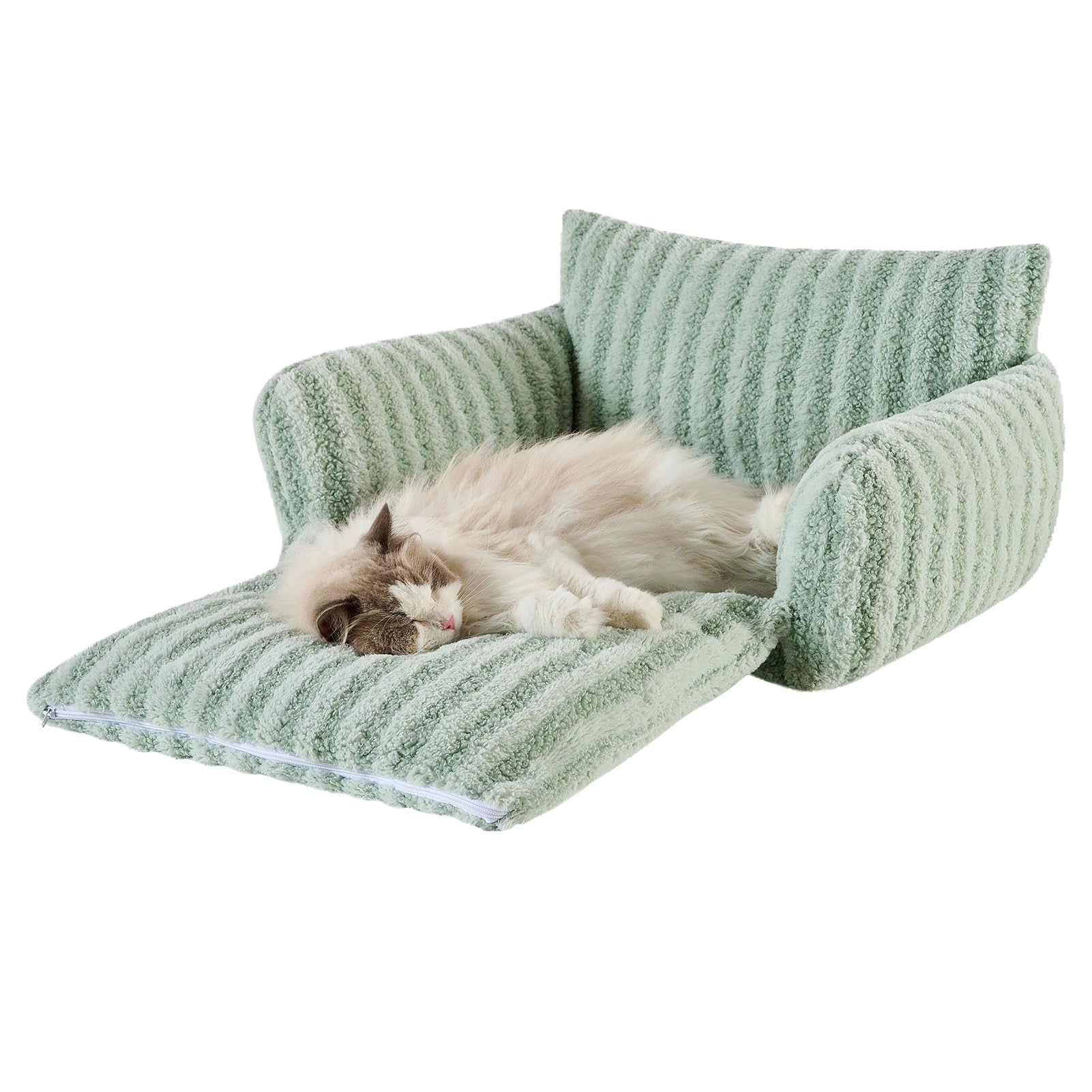 Cama Hollypet para gato con espuma huevo brinda apoyo suave.