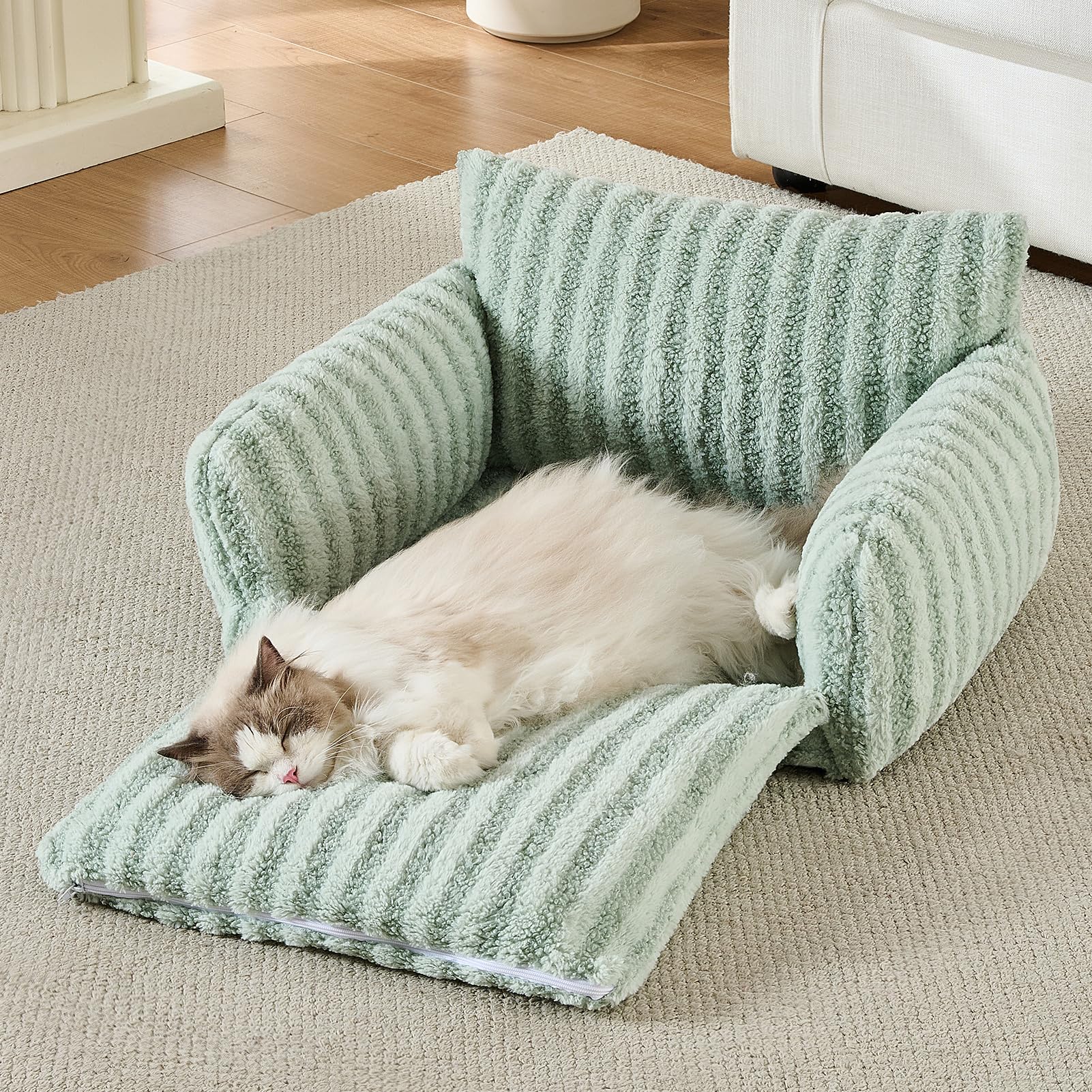 Talla S de Hollypet ideal para gatos medianos y perros pequeños.