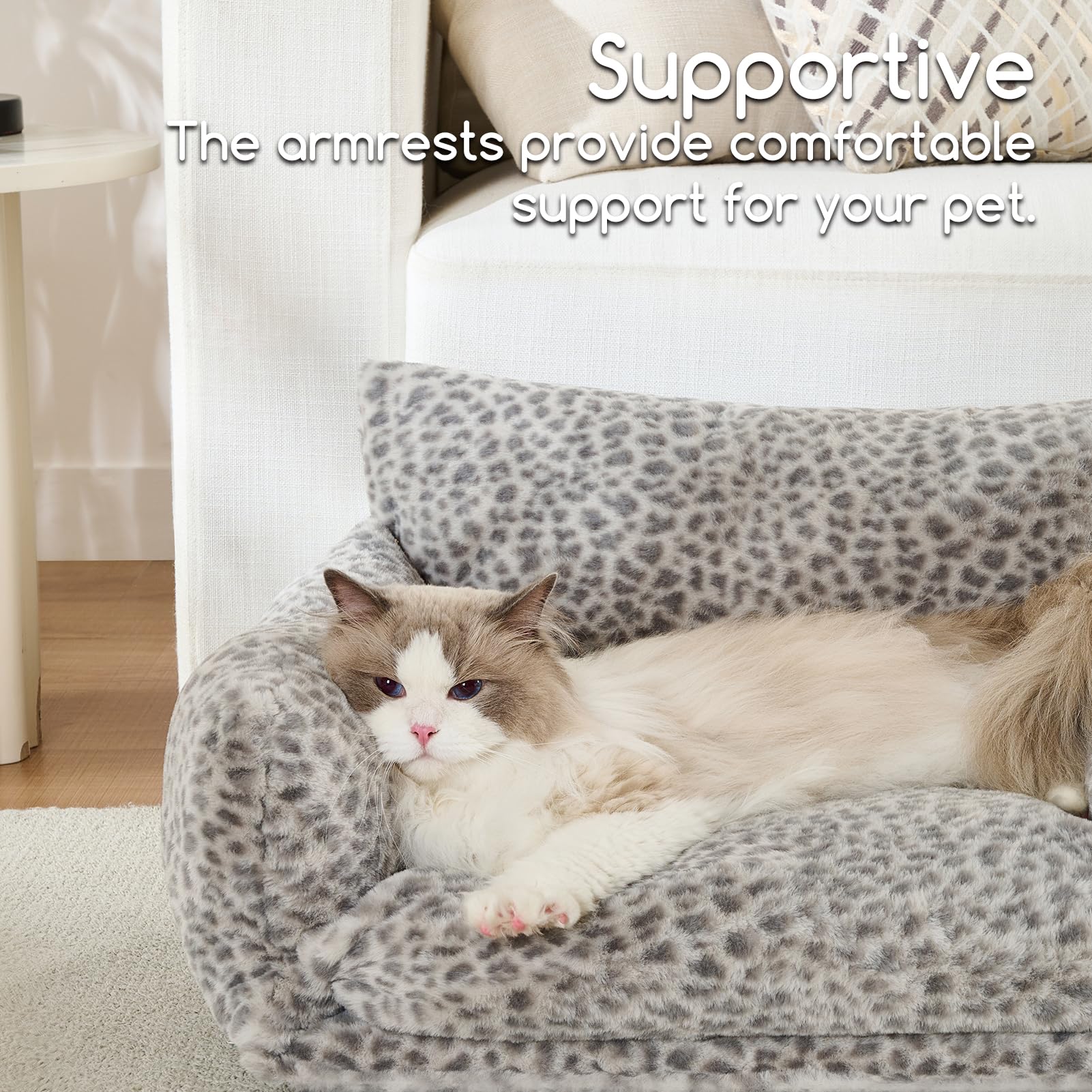 Hollypet cama-gato talla xs ideal para gatitos