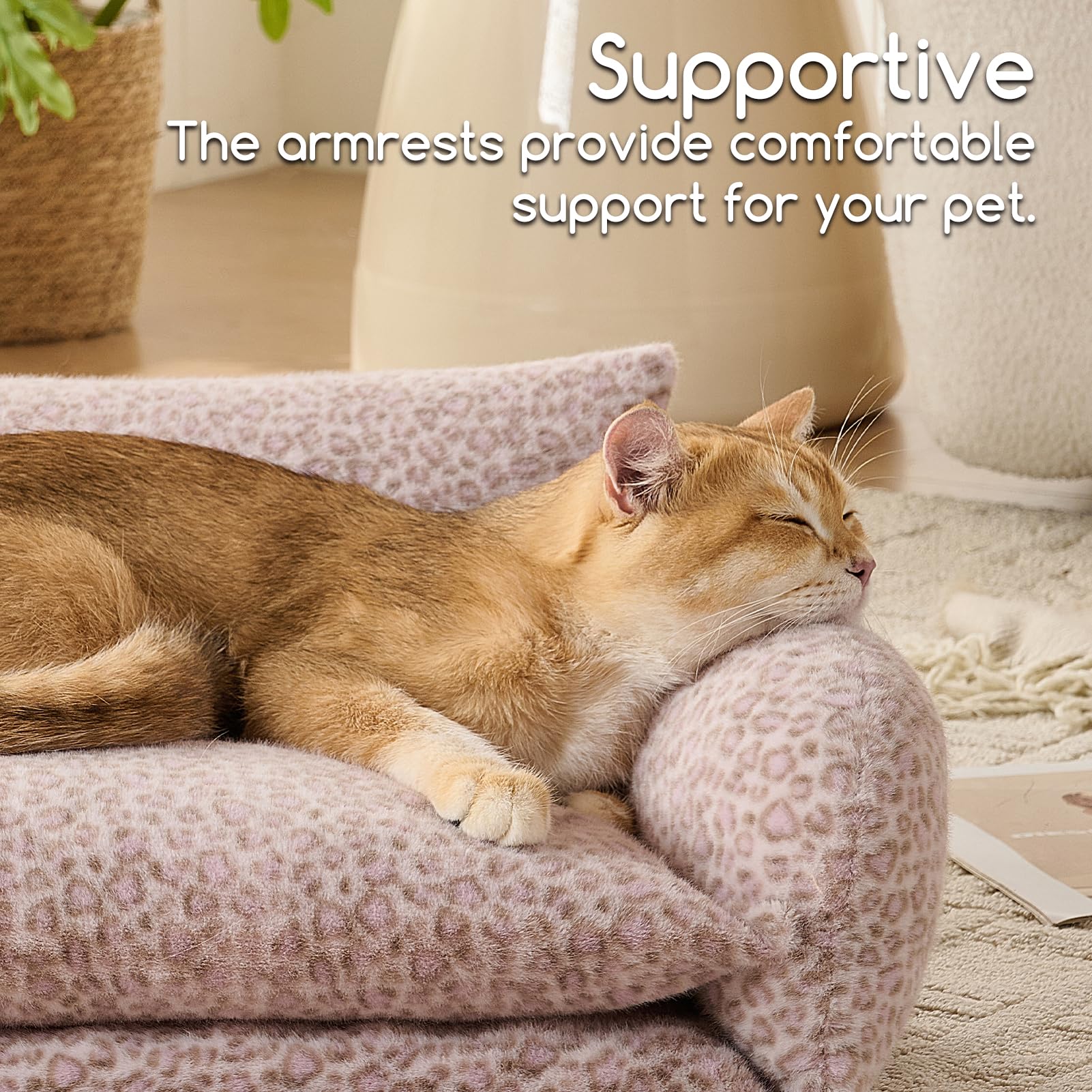 Cama Hollypet XS, tamaño compacto para gatitos.