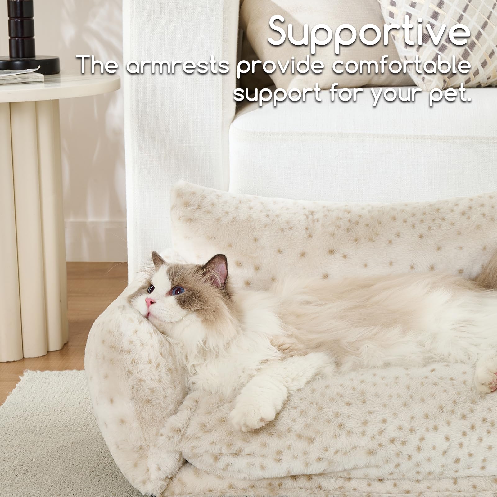 Muestra mascota descansando en cama Hollypet, diseño ergonómico