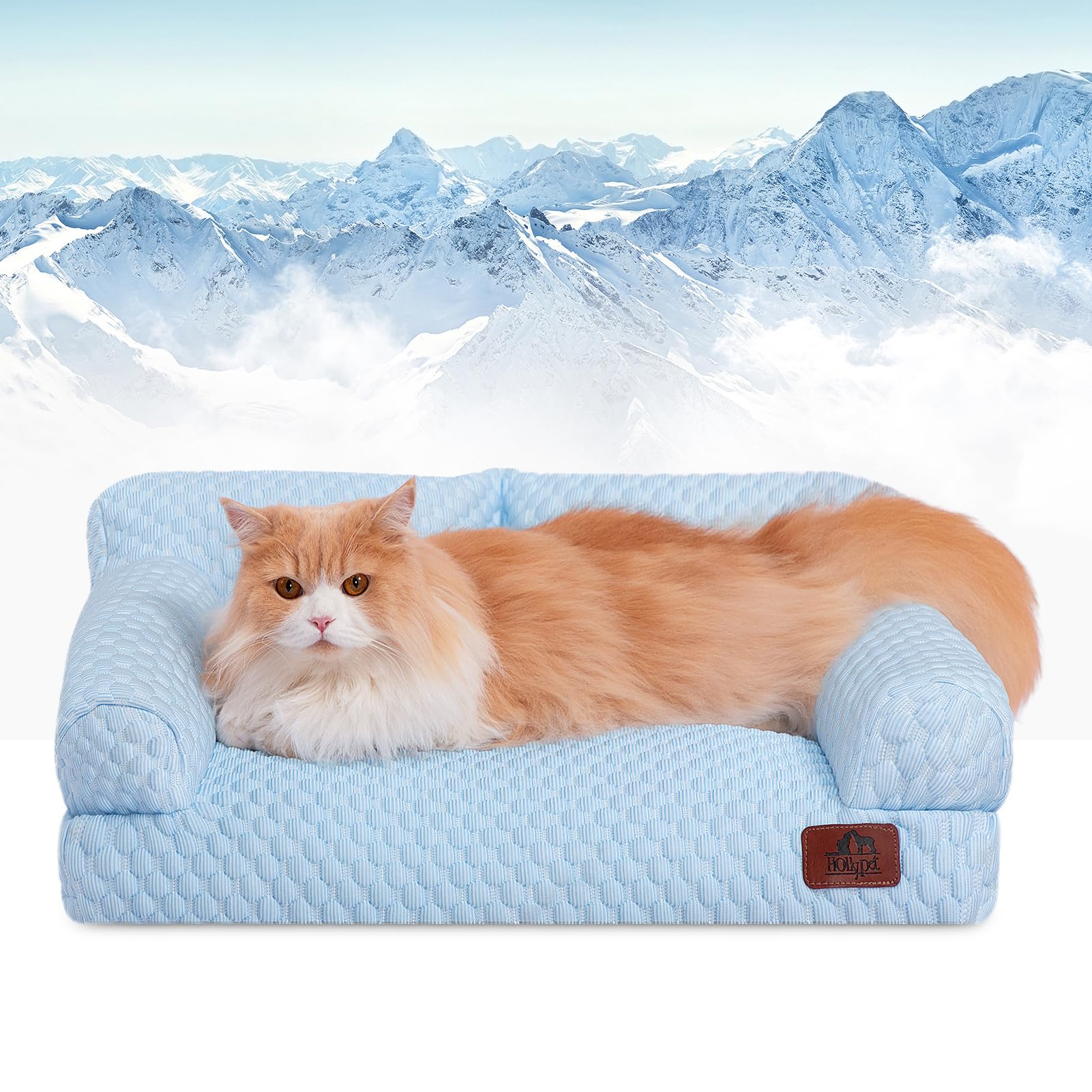 Funda desmontable lavable de Hollypet para limpieza rápida.