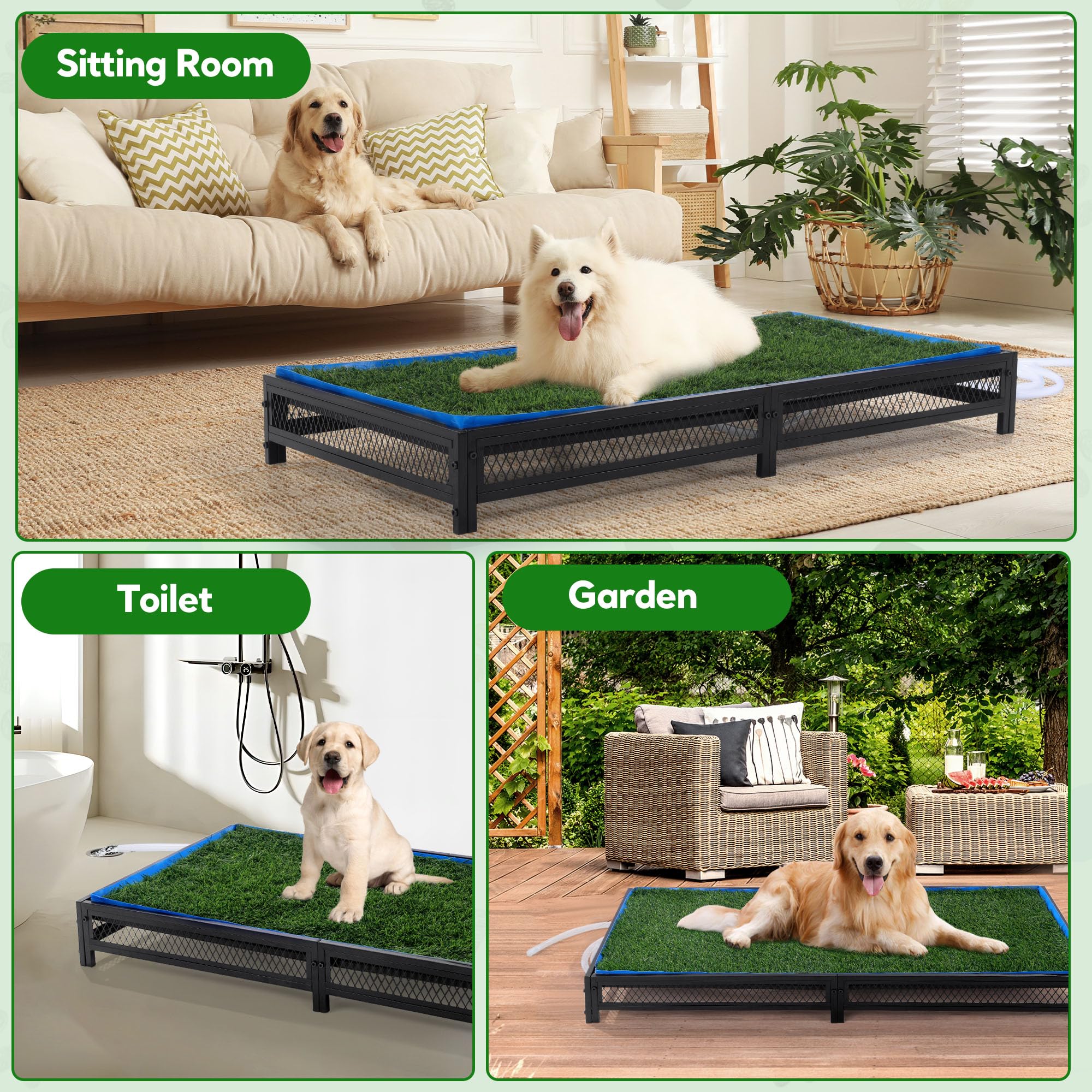 Entrenamiento de higiene con HOMBYS Porch Potty para perros