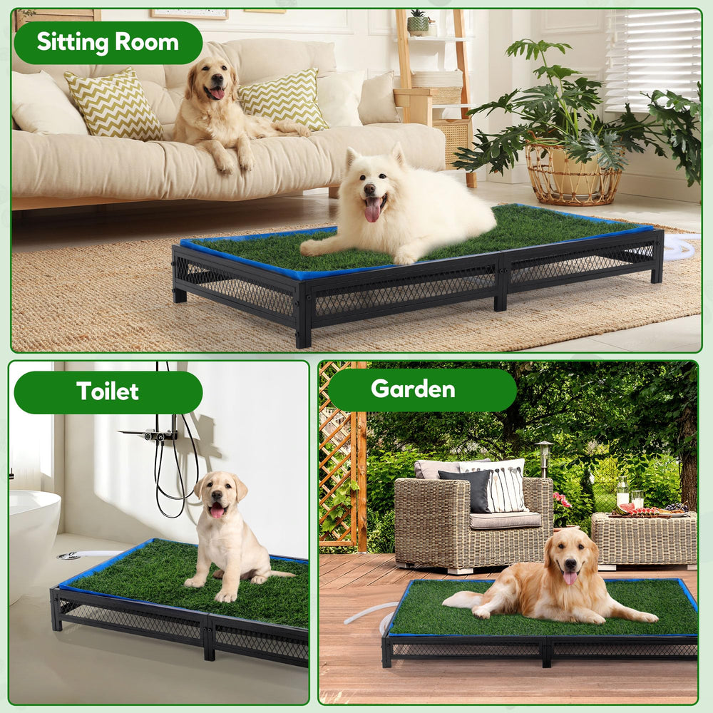 Entrenamiento de higiene con HOMBYS Porch Potty para perros