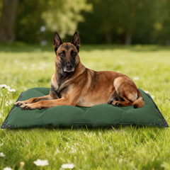 Cama para perros HOMBYS con remaches metálicos refuerza costuras.