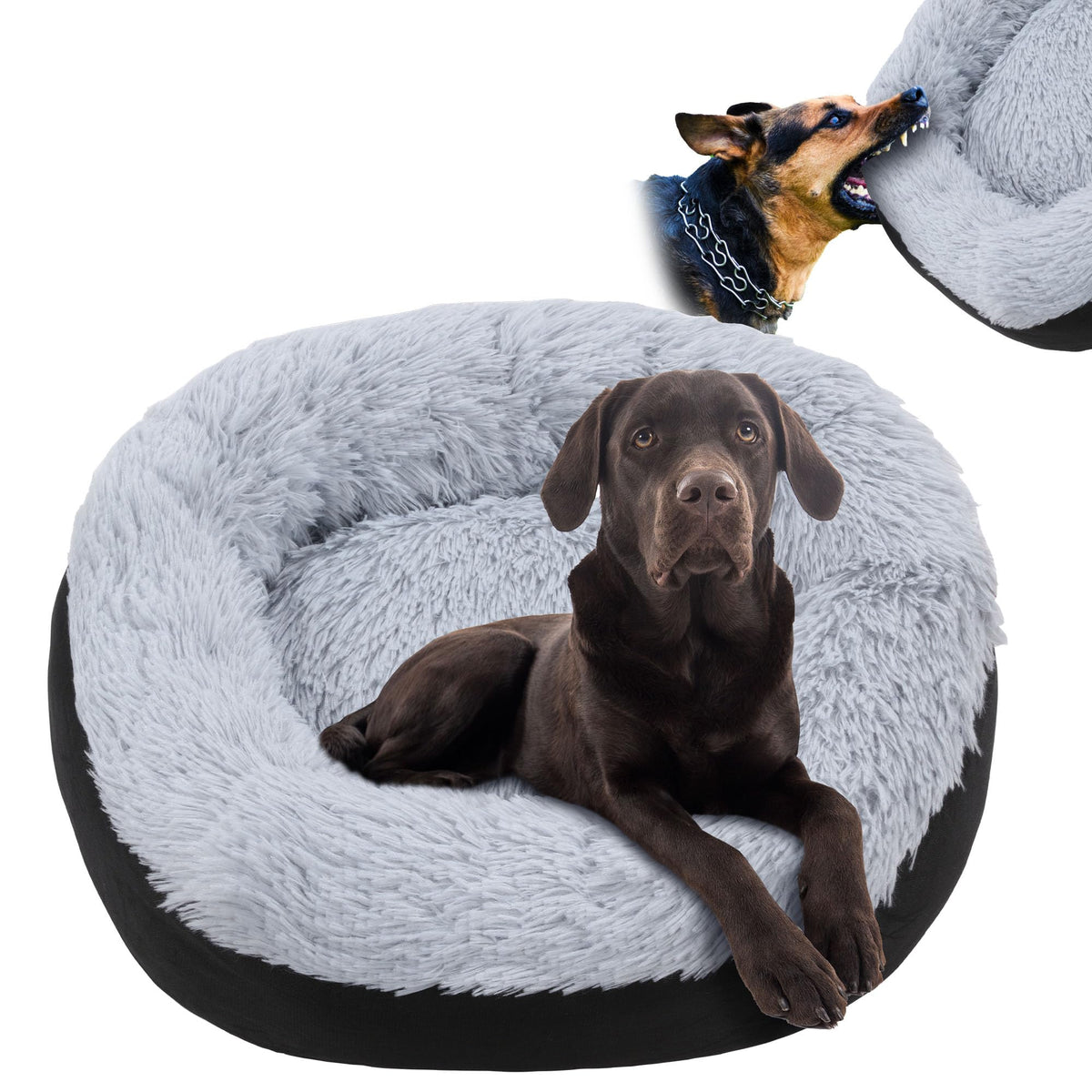 Cama HOMBYS indestructible con superficie de peluche suave para perros.