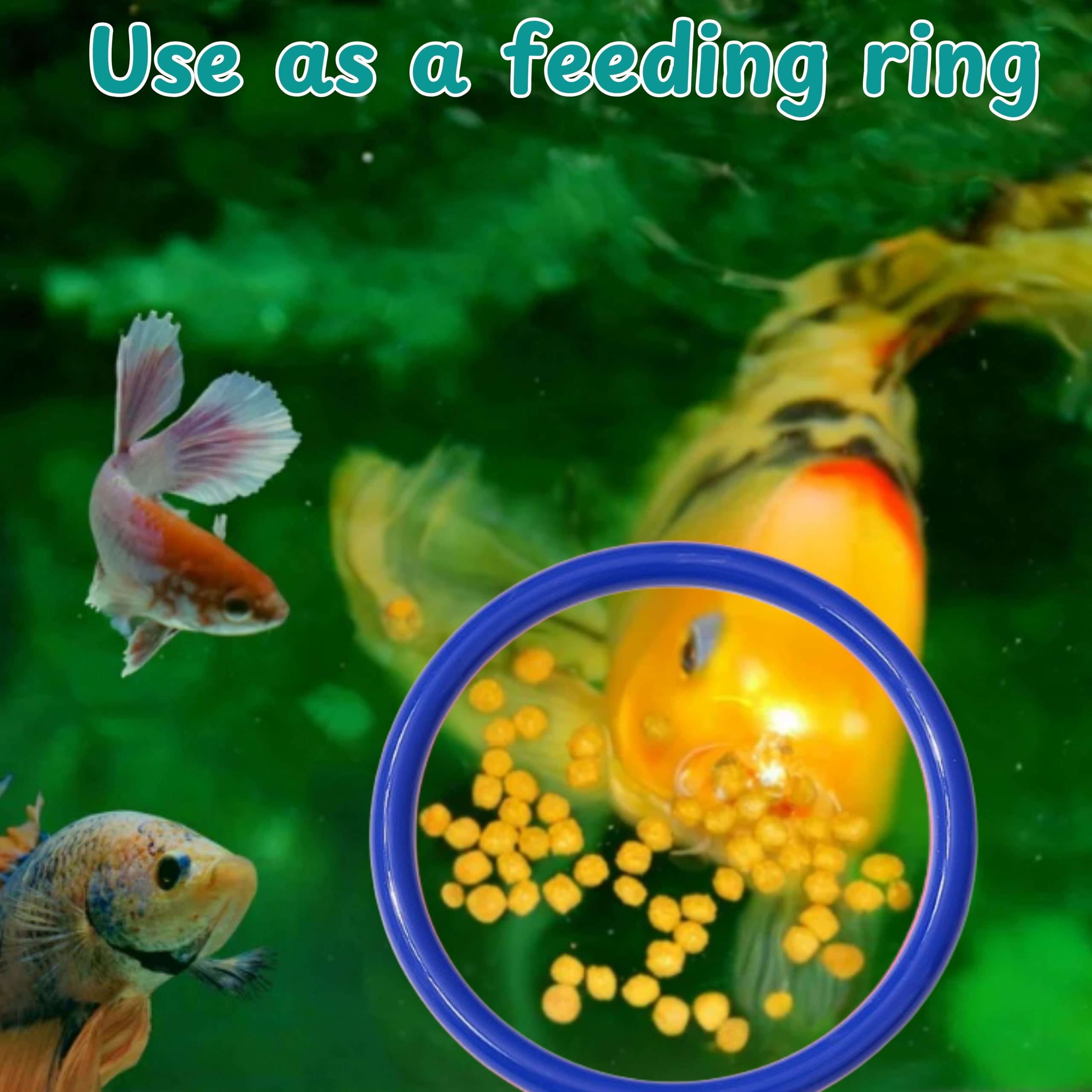 Homedy Crafts Anillos Alimentación Betta facilitan pausas de alimentación y exploración