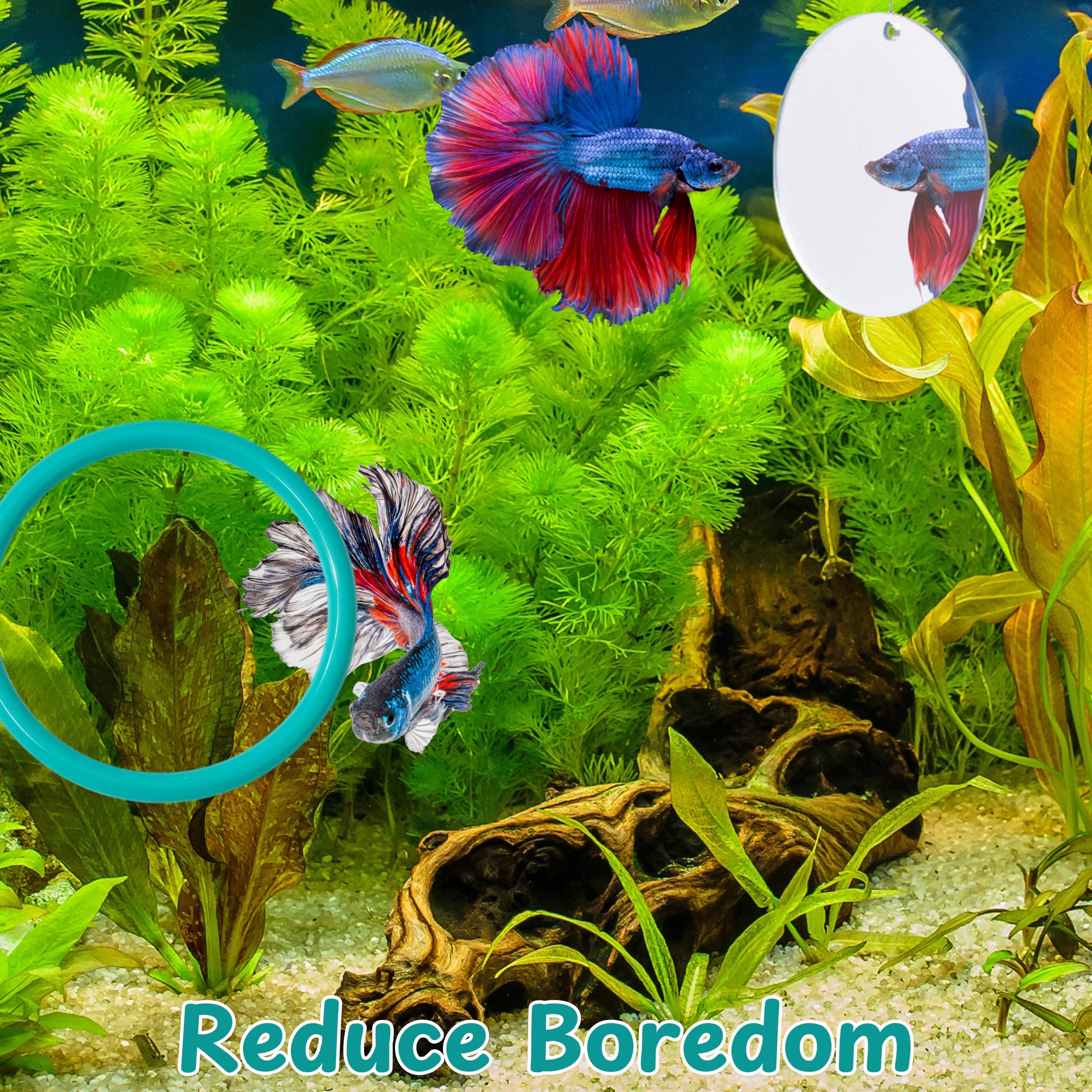 Elemento decorativo de Homedy Crafts Betta que realza colores.