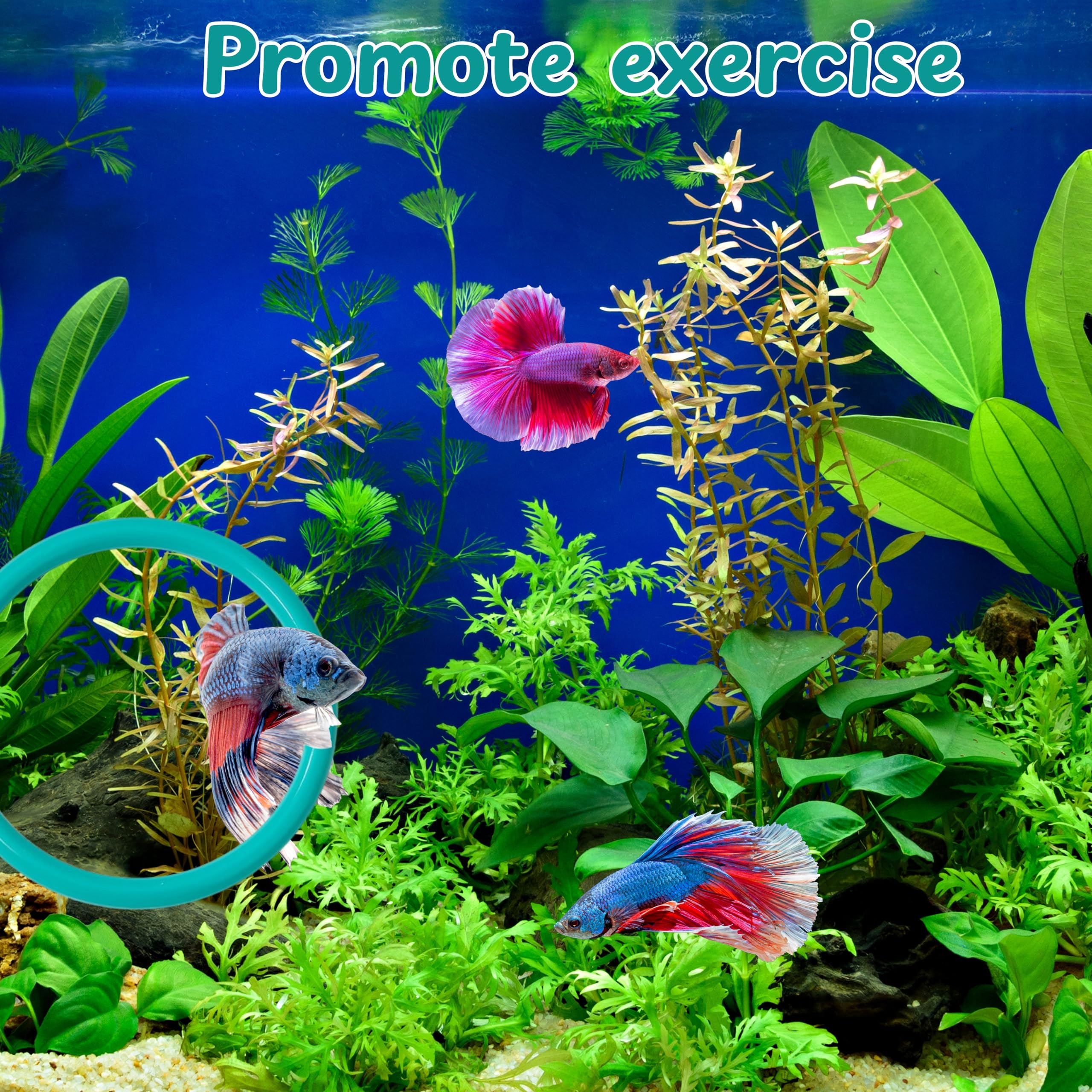 Espejo flotante Betta de Homedy Crafts para interacción visual y colores vibrantes.