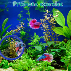 Homedy Crafts Betta Espejo Reflejos Vibrantes realza colores y movimiento