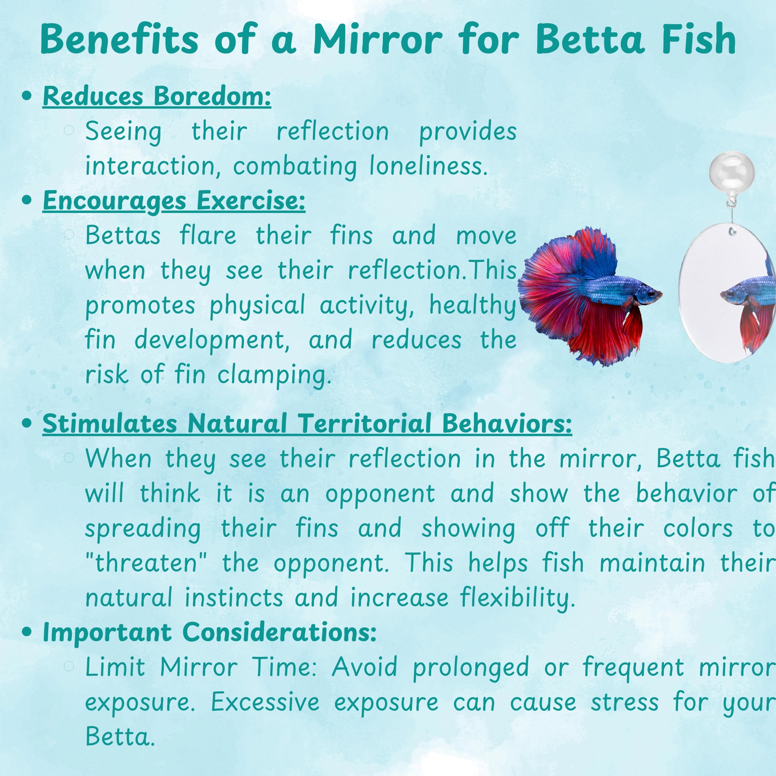 Juguete de acuario para actividad y exploración diaria de la Betta.