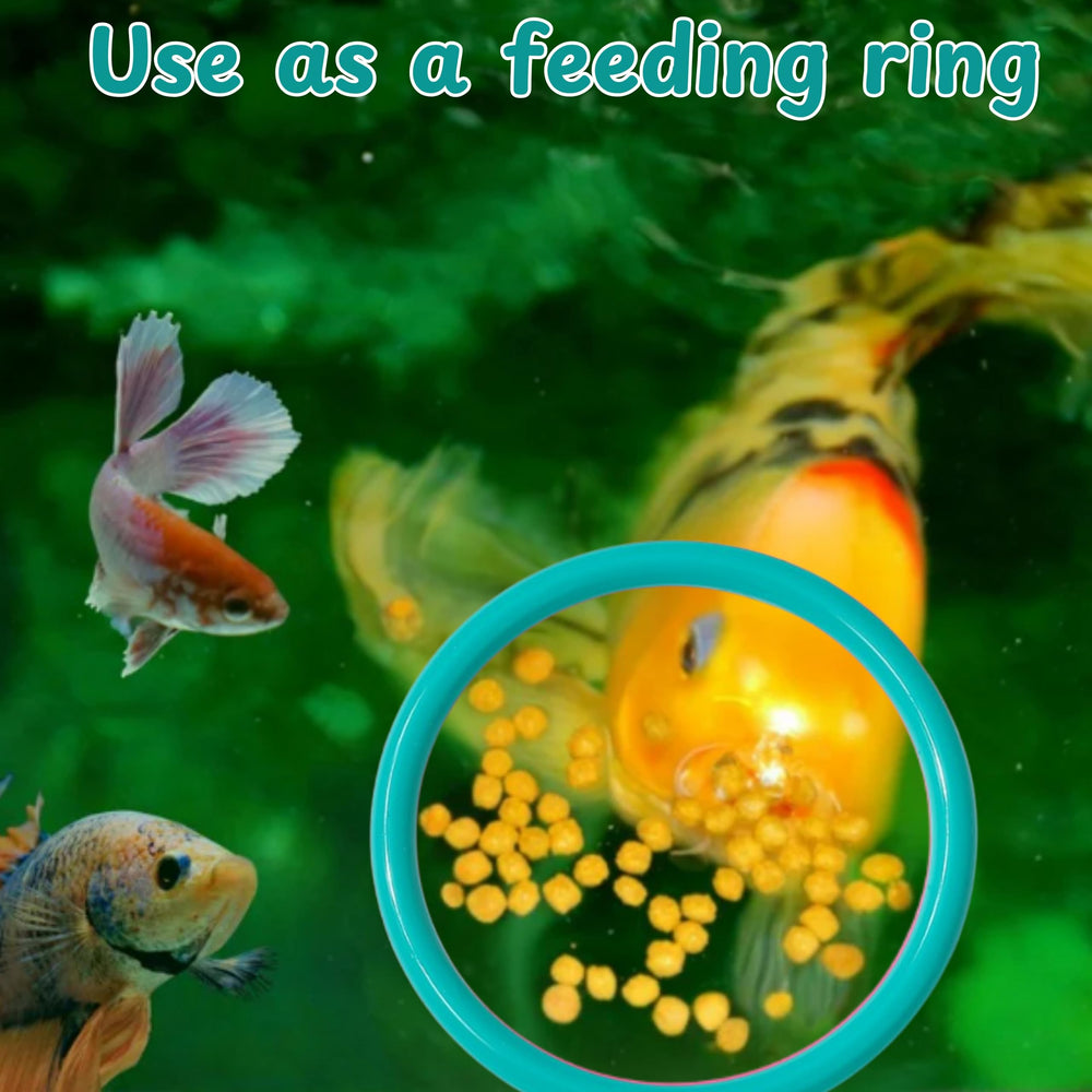 Betta de Homedy Crafts: Reflejo que estimula curiosidad y juego.