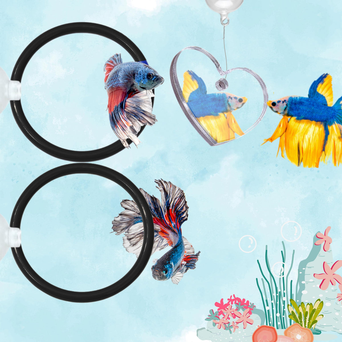 Homedy Crafts Betta Ring y Espejo: juego dual para Betta en acuario