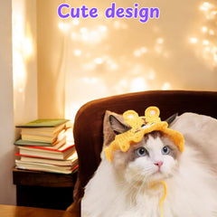 Detalle orejas gato Homedy Crafts, gorro añade encanto a cada sesión.