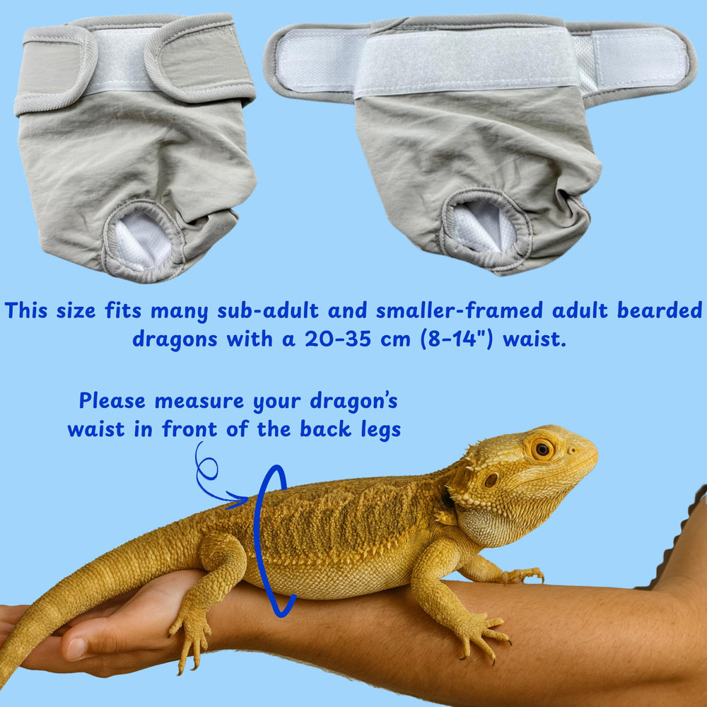 Homedy Crafts diseño neutro gris accesorios para lagarto