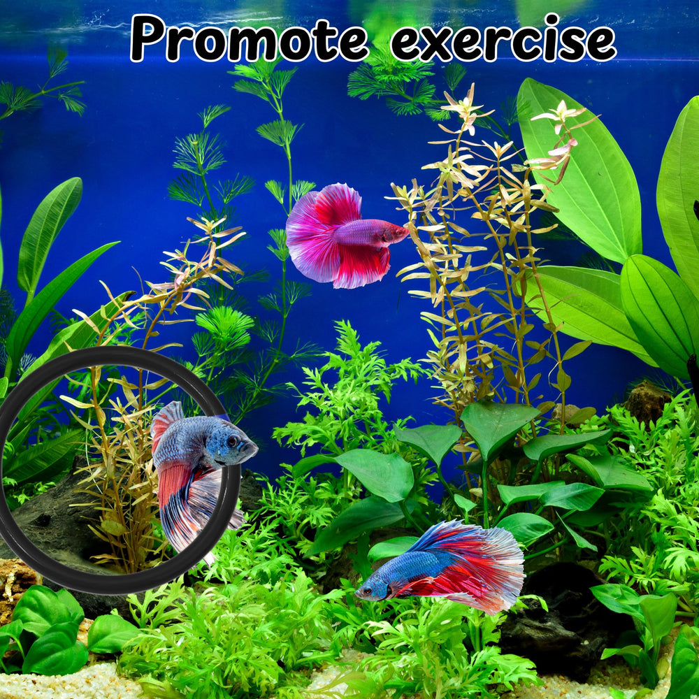 Homedy Crafts Espejo Flotante: estimula colores y movimientos del Betta