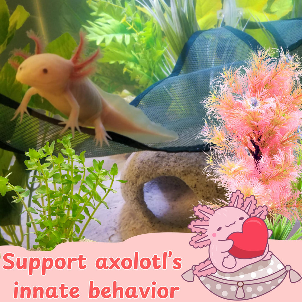 De Homedy Crafts, uso versátil para axolotls y otros reptiles pequeños.
