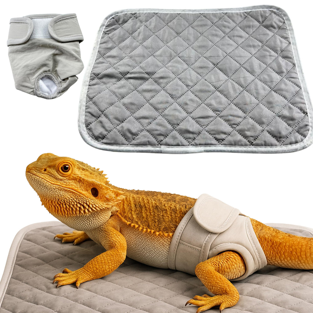 Homedy Crafts pañal lagarto ajuste cintura gris, manejo cómodo durante sesiones cortas