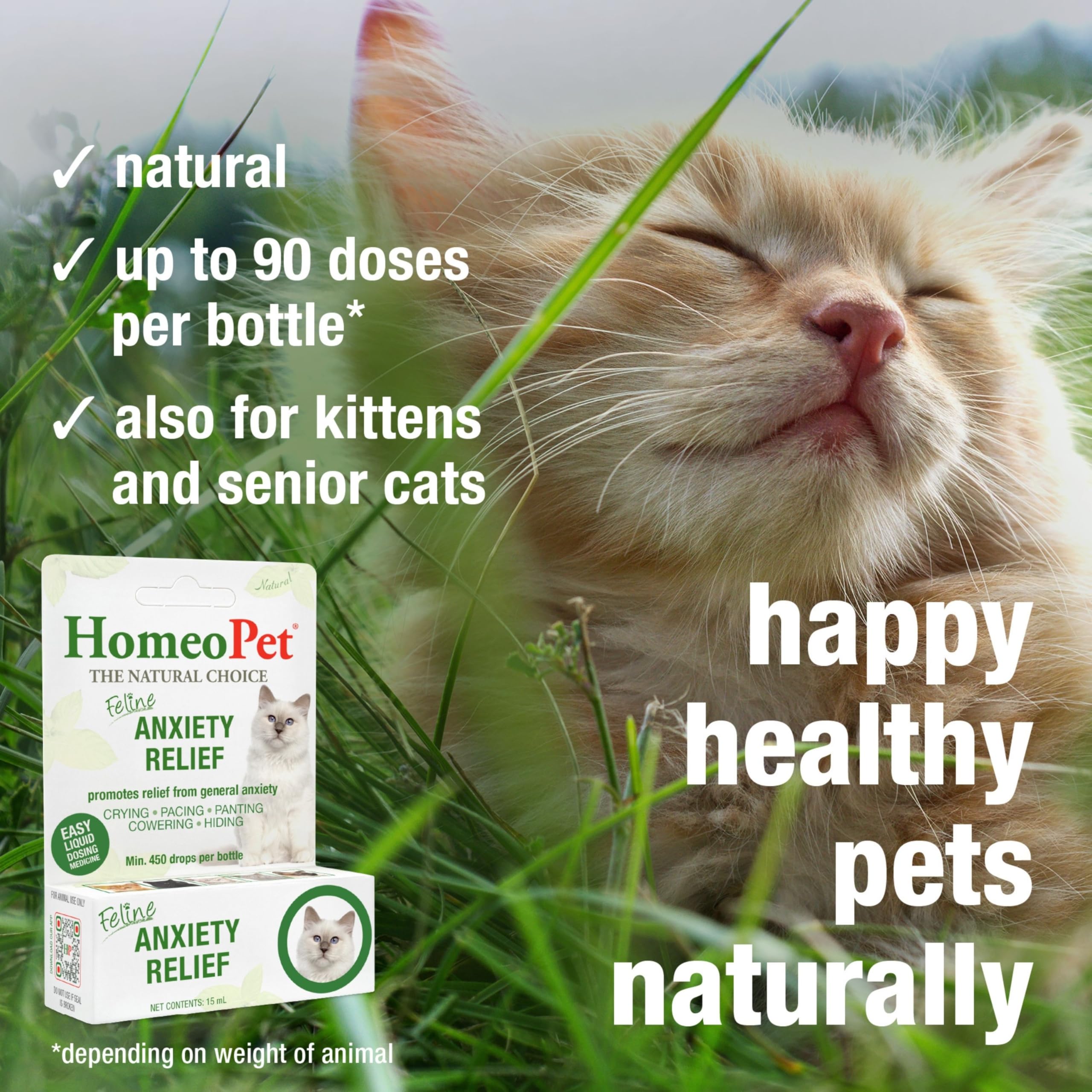 Homeopet-bote-en-hogar: ambiente más tranquilo para el felino.