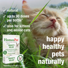 Homeopet-bote-en-hogar: ambiente más tranquilo para el felino.