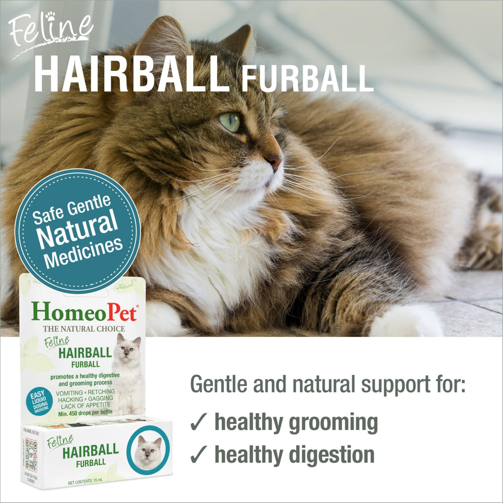 Aplicación en la boca de HomeoPet Feline Furball para facilitar la dosis