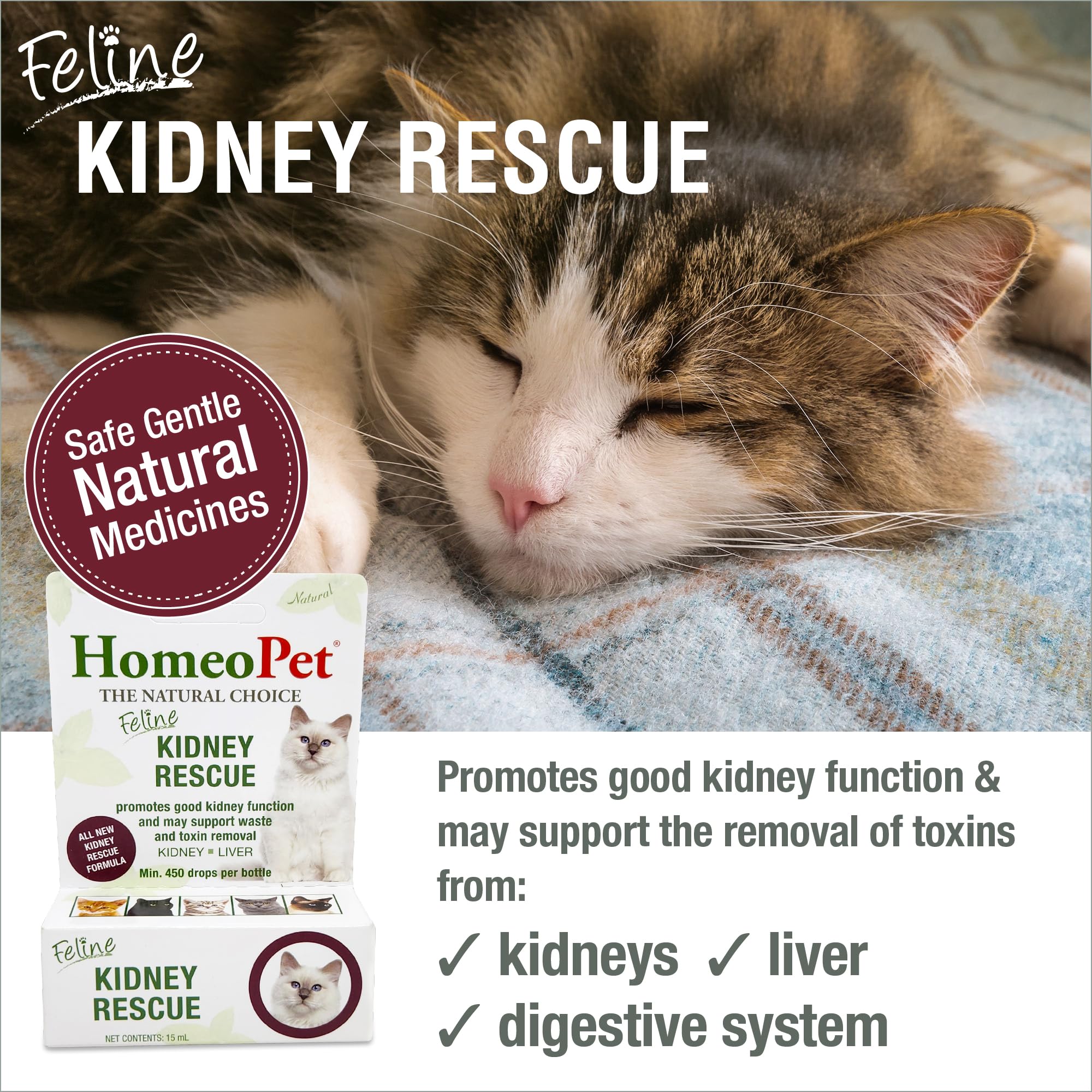 HomeoPet Feline Kidney Rescue, dosis en gotas, administración cómoda para gatos