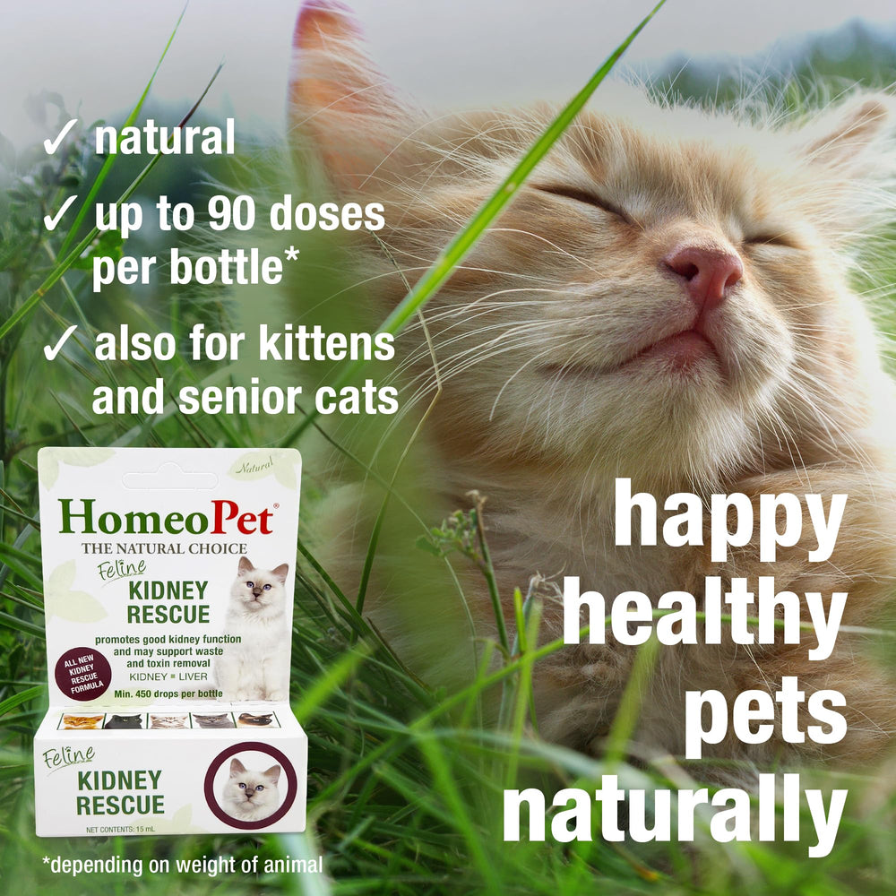 HomeoPet Feline Kidney Rescue, envase práctico para uso diario