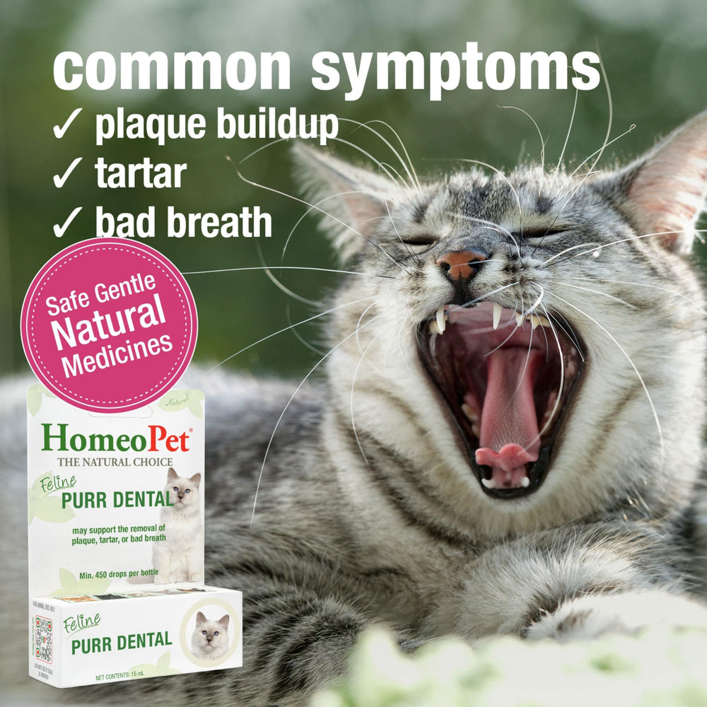 HomeoPet Feline Purr Dental, aplicación directa en boca, fácil de usar