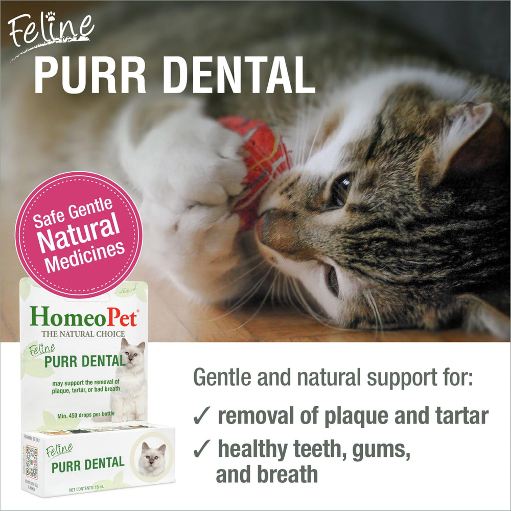 HomeoPet Feline Purr Dental, dosis en agua para cuidado bucal felino