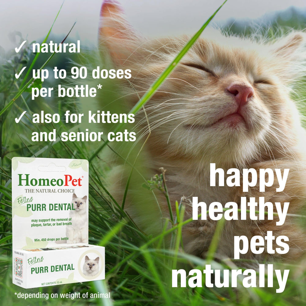 HomeoPet Feline Purr Dental, gato sonriente gracias a la fórmula suave