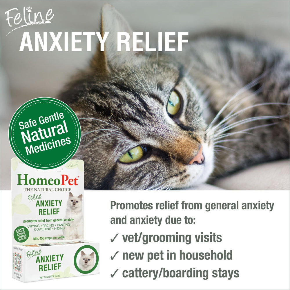 Homeopet-gotas-dispensadas-agua: uso diario para gatos.