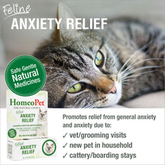 Homeopet-gotas-dispensadas-agua: uso diario para gatos.