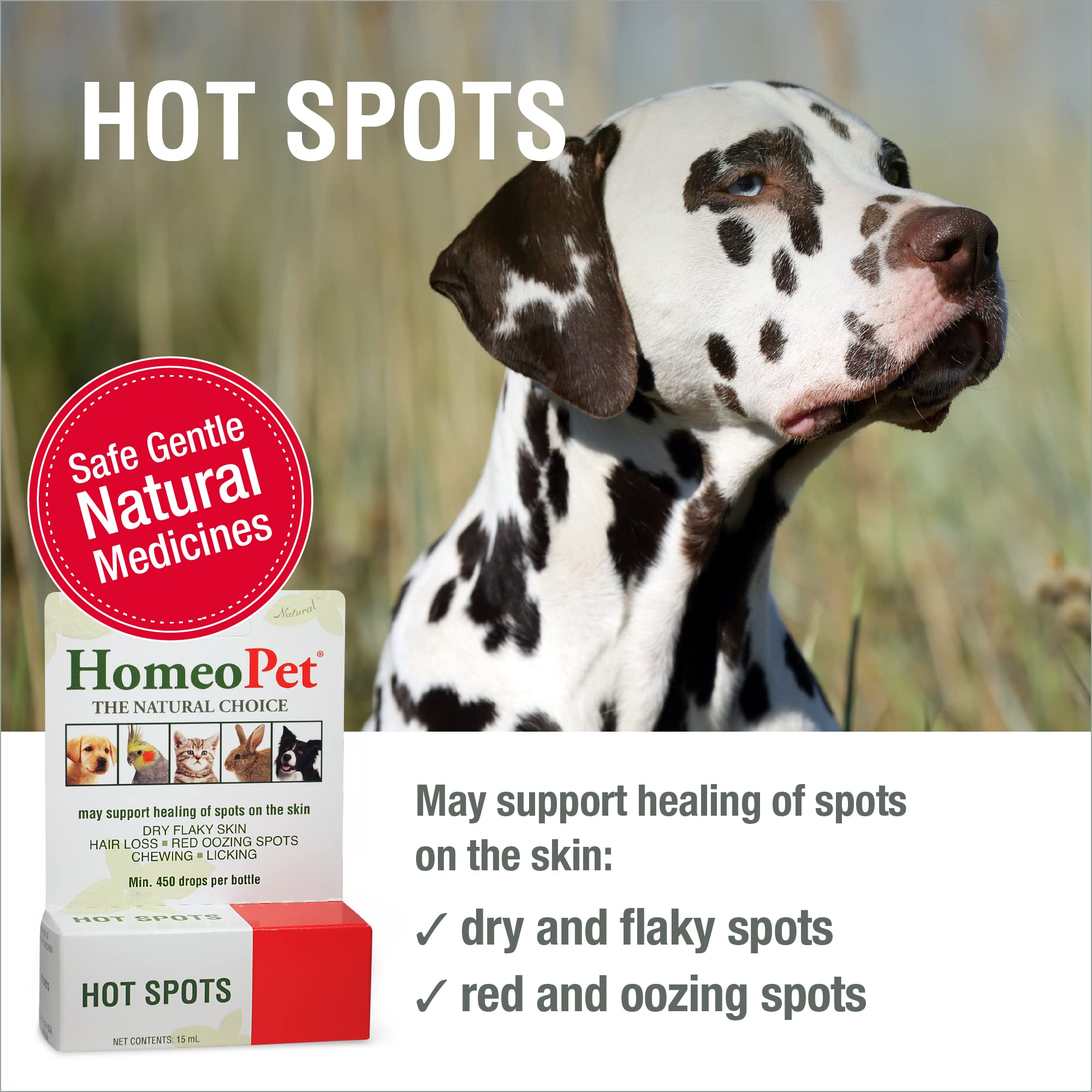 HomeoPet Hot Spots facilita la aplicación segura en perros para áreas sensibles.
