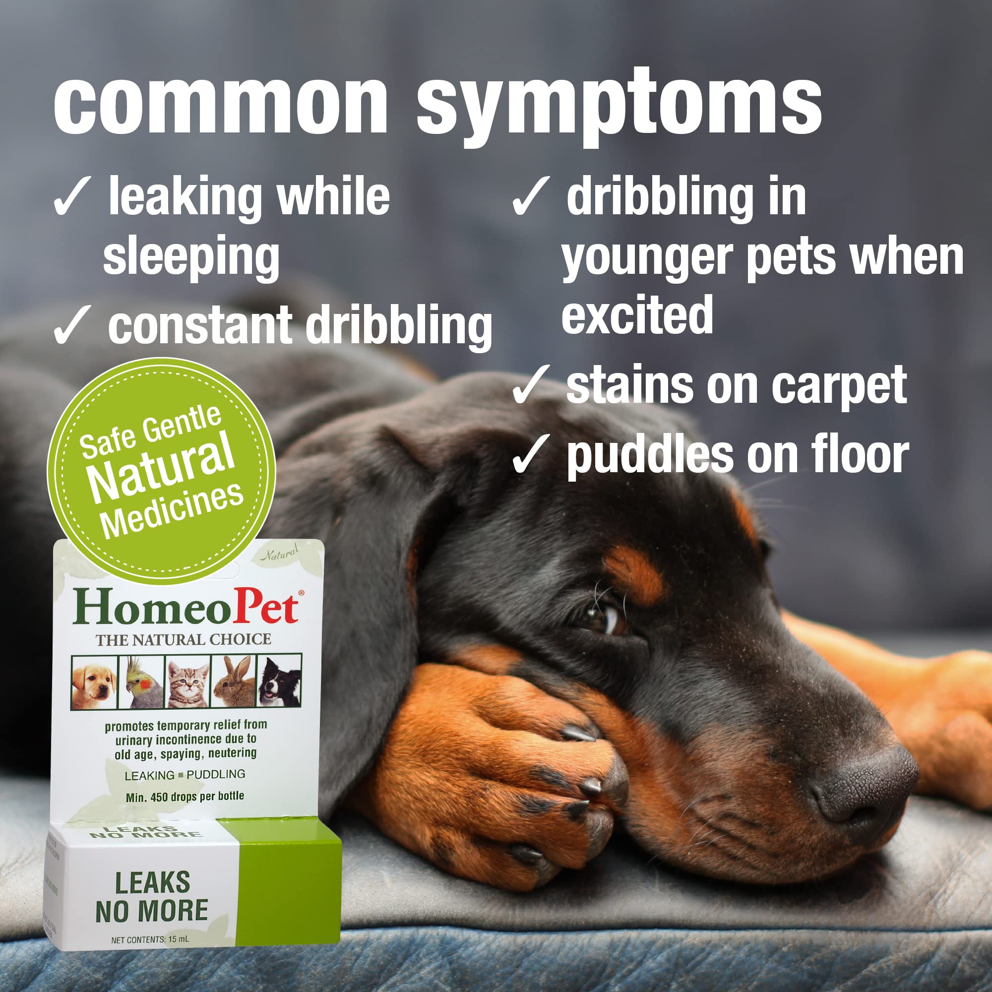 HomeoPet Leaks No More: uso en agua para mascotas con control suave