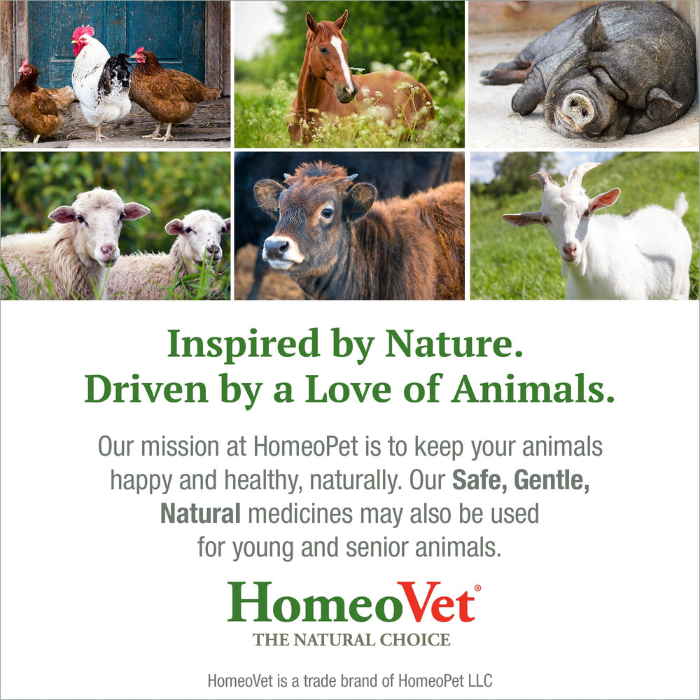 HomeoPet Avian Nose Relief: envase compacto para aves en casa