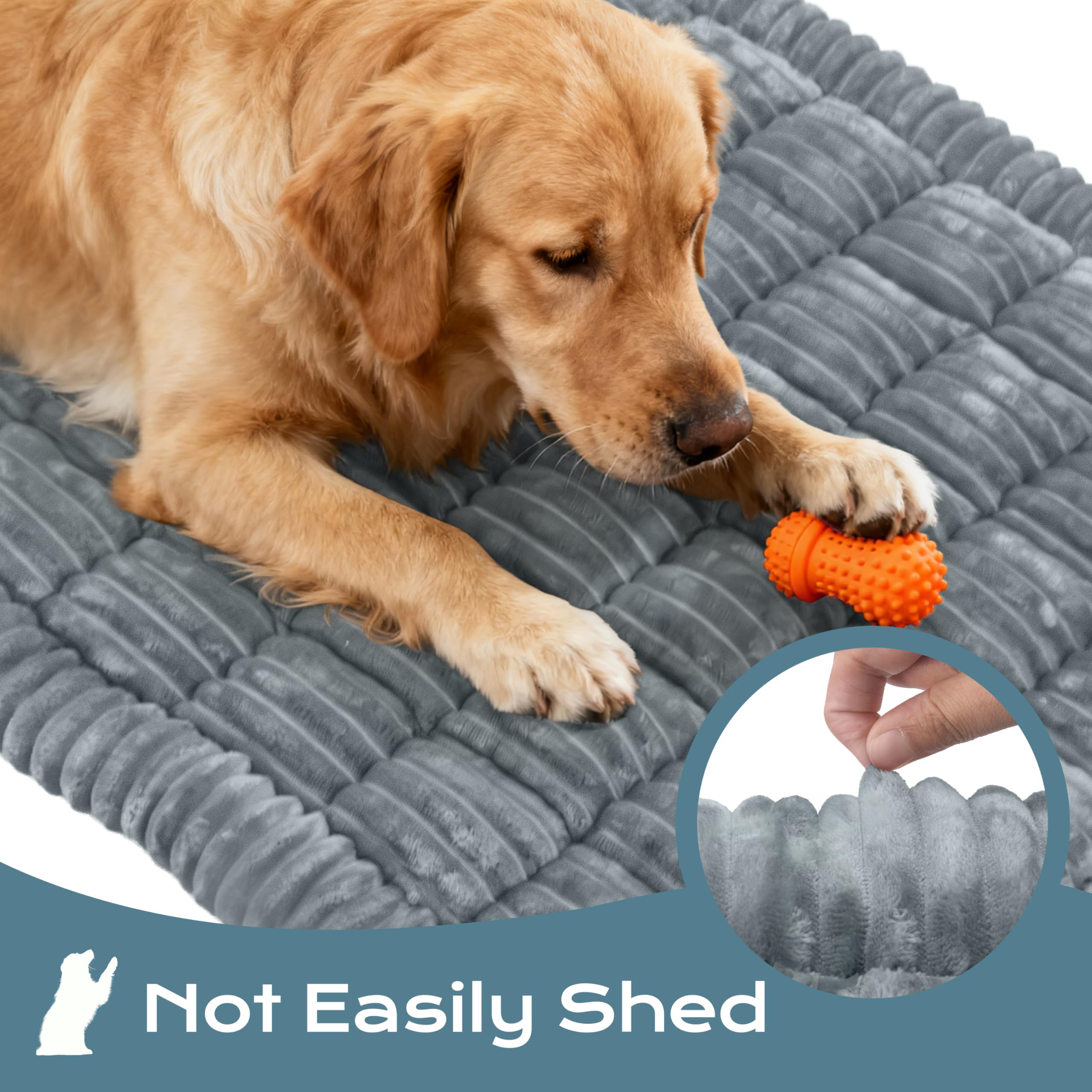 HomeTails ideal para camping y viajes, manteniendo al perro cómodo
