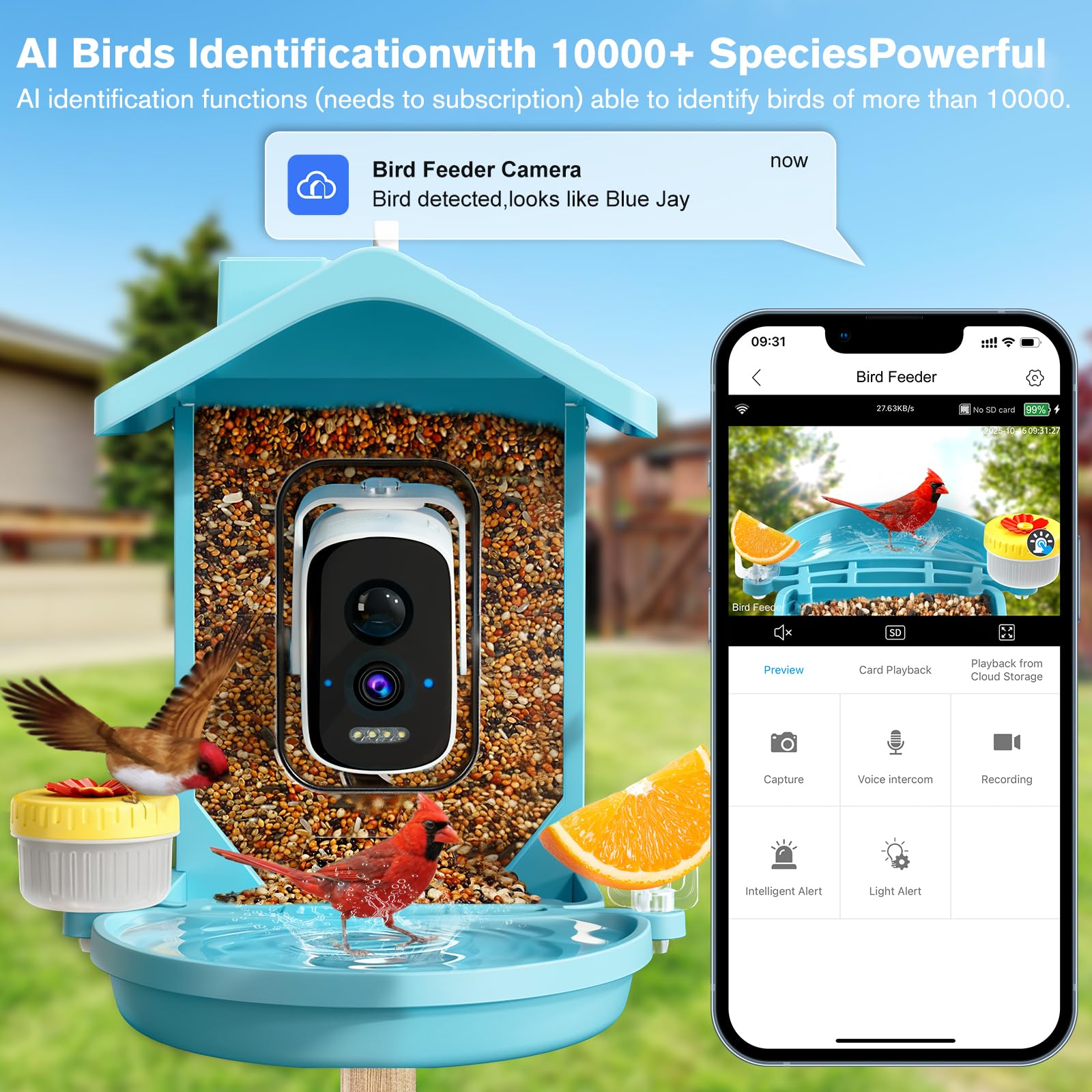 Homiefans baño de aves en patio: zona de agua para las aves