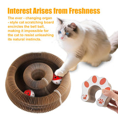 Homlume Kitty Kurls, bola con campana integrada para persecución divertida.