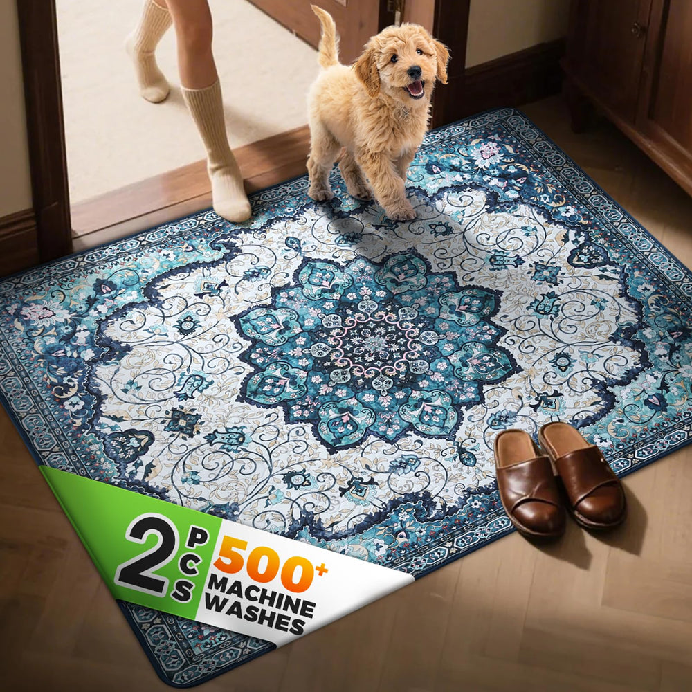Hompet 2 Pack alfombrilla de entrada para perros, absorbente y suave para patas mojadas.