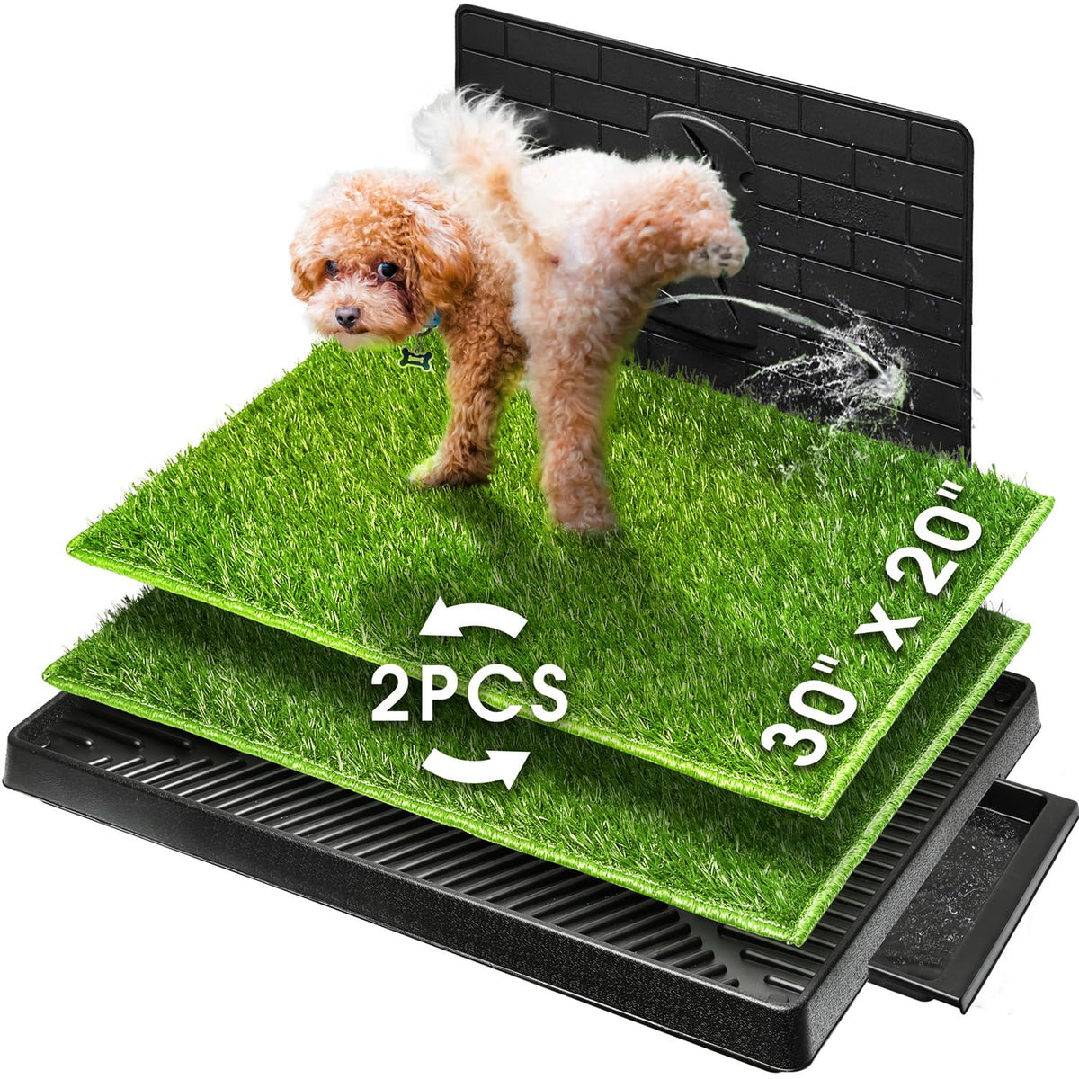 Hompet estera-grama-perro dos piezas para entrenamiento en interiores