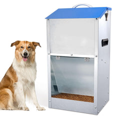 Homsky comedero automático para perros grandes con puerta transparente para ver la comida