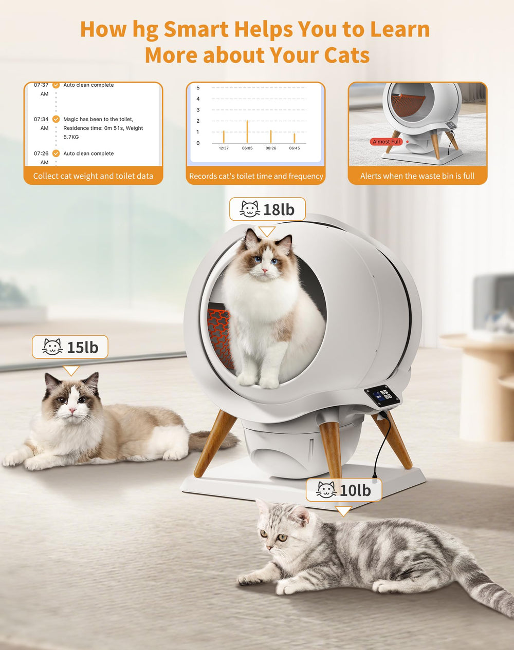 HoneyGuaridan entrada amplia para gatos de todos los tamaños