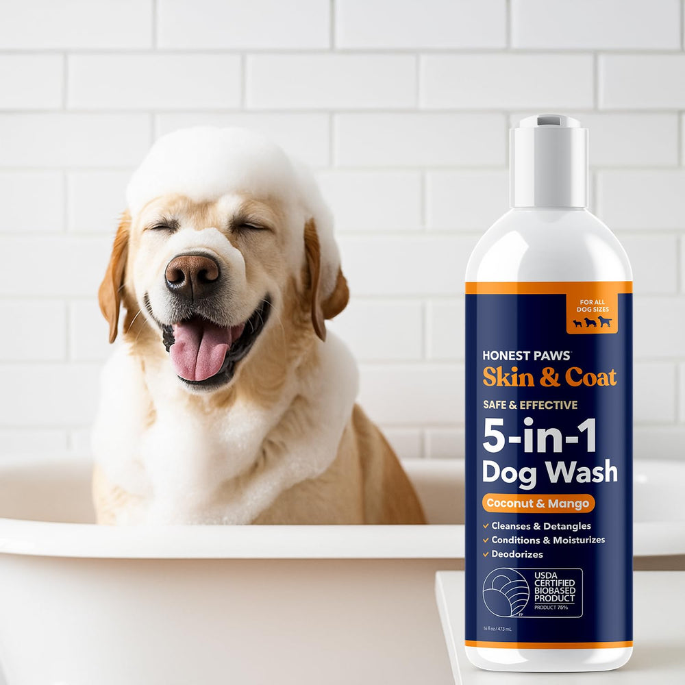 Honest Paws champú diario o semanal para un pelaje limpio