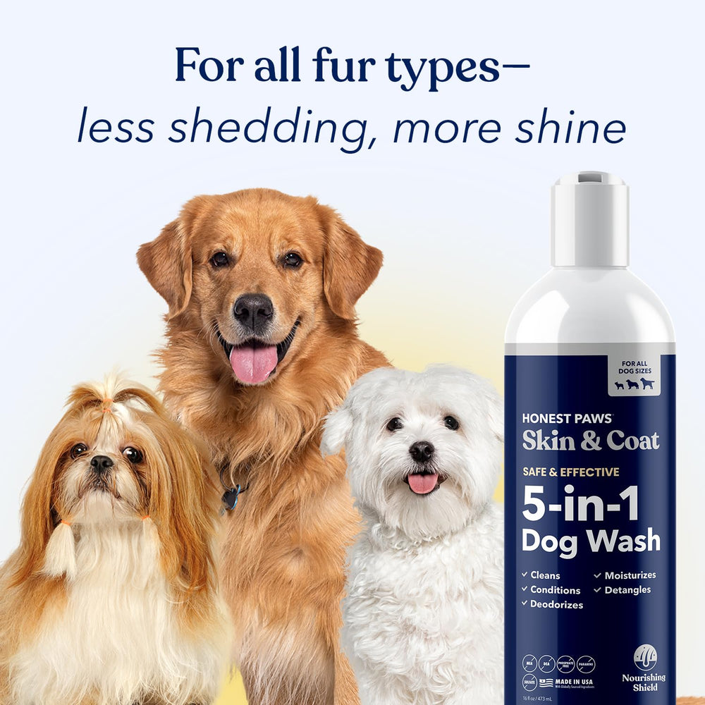 Honest Paws champú para perros, aroma fresco durante el baño.