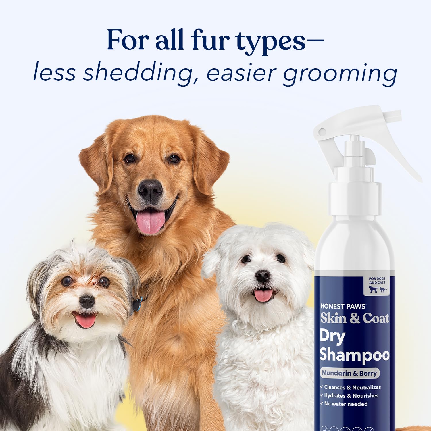 honest paws champú seco para perros: brillo suave y frescura sin aclarado