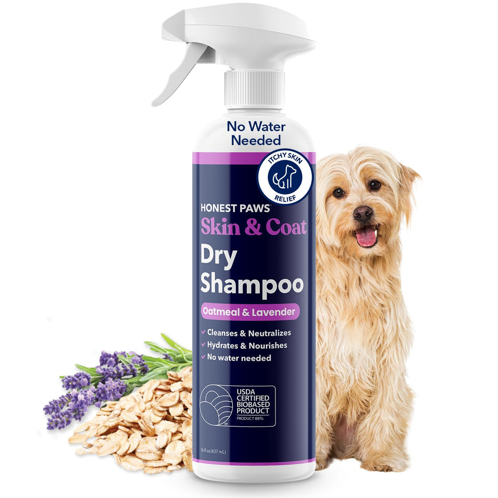 Honest Paws Champú Seco para Perros envase 473 ml, listo para uso entre baños.