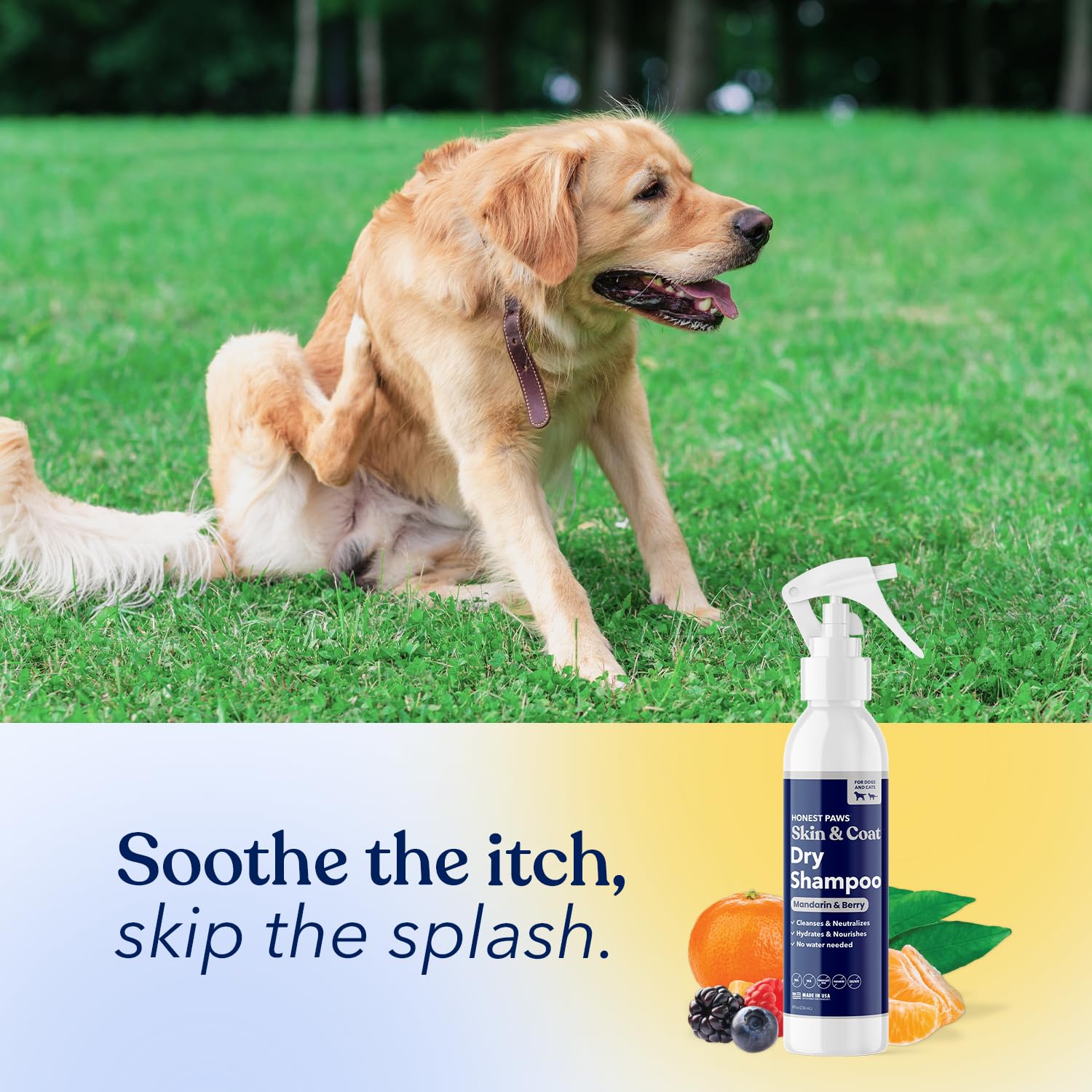 honest paws champú seco para perros: hecho en eeuu con ingredientes globales