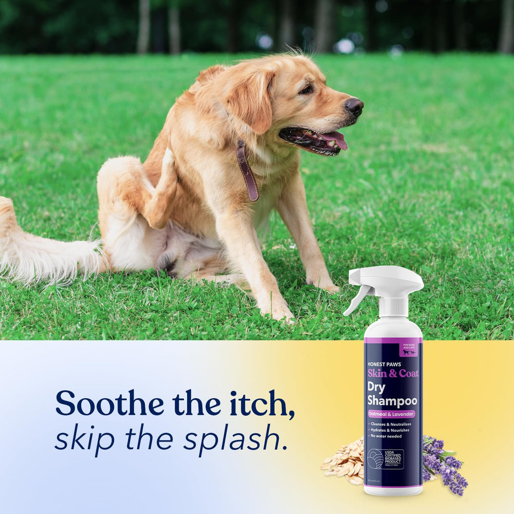 Honest Paws Champú Seco para Perros libre de tintes.