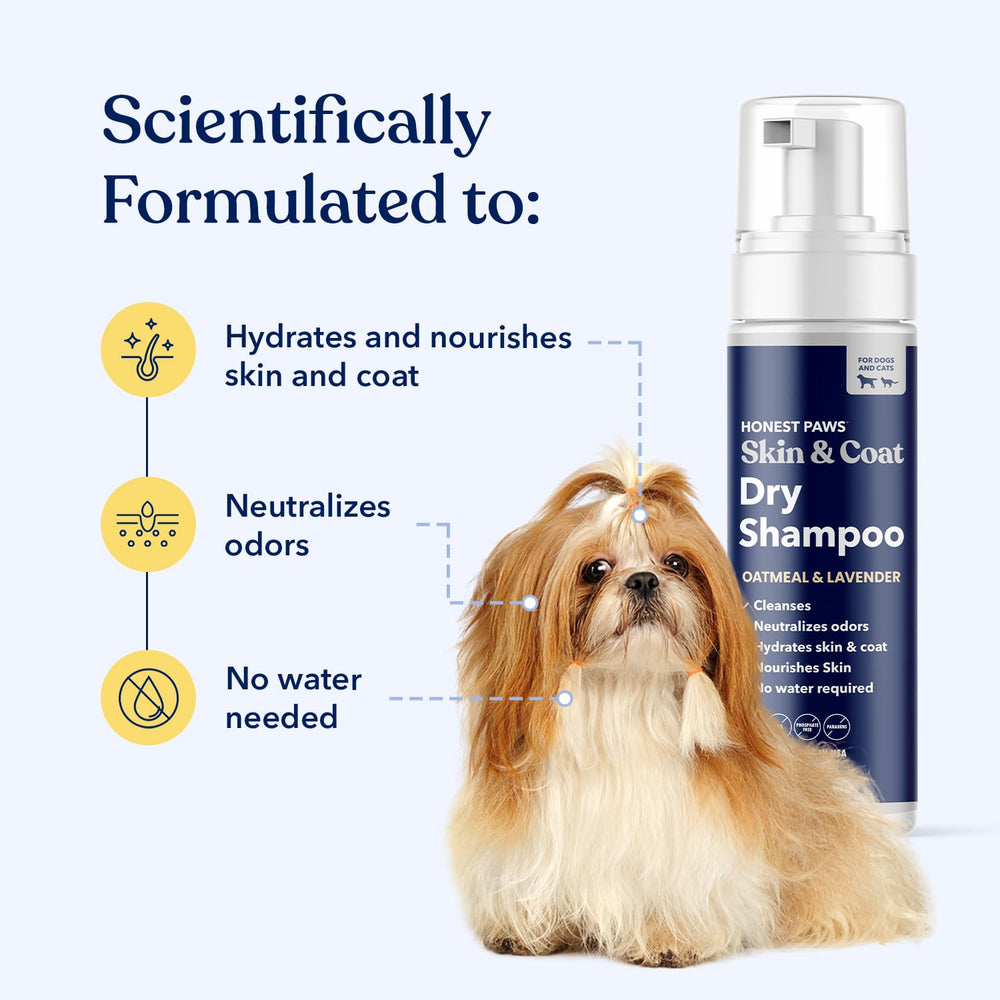 Honest Paws Champú en seco para perros cuida piel y pelo para pelaje sano.